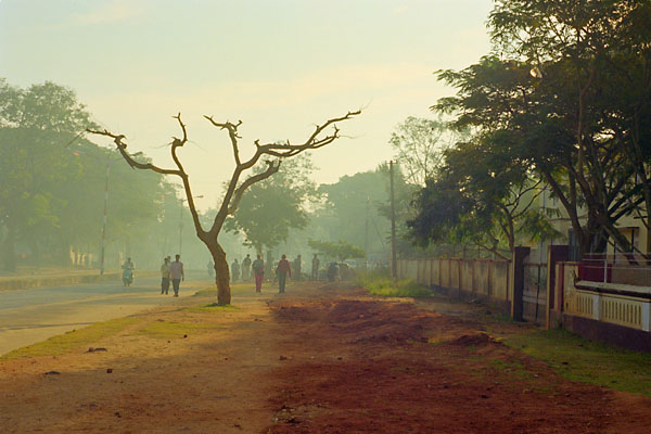 Mysore morning light