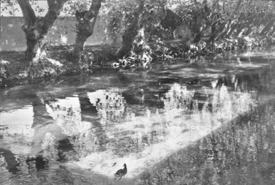 Île sur la Sorgue by Henri Cartier-Bresson