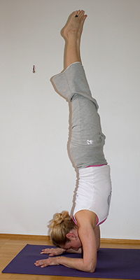 pincha mayurasana